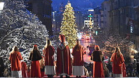 Auszug des Hofsamichlaus
