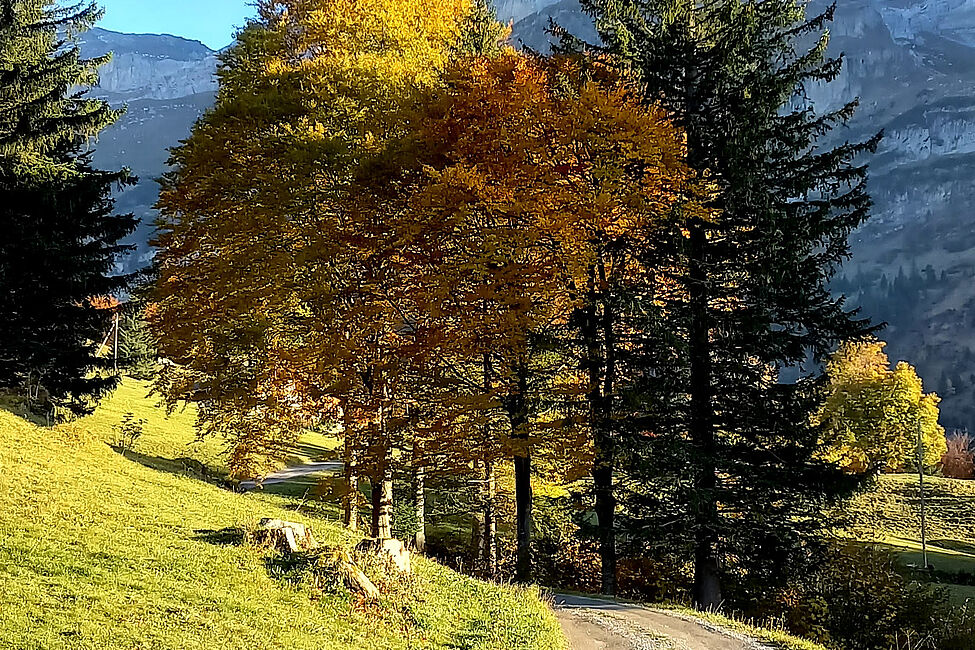 Zeit der Herbstgedichte