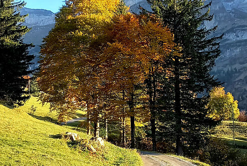 Zeit der Herbstgedichte