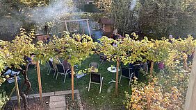 Marroni im Garten