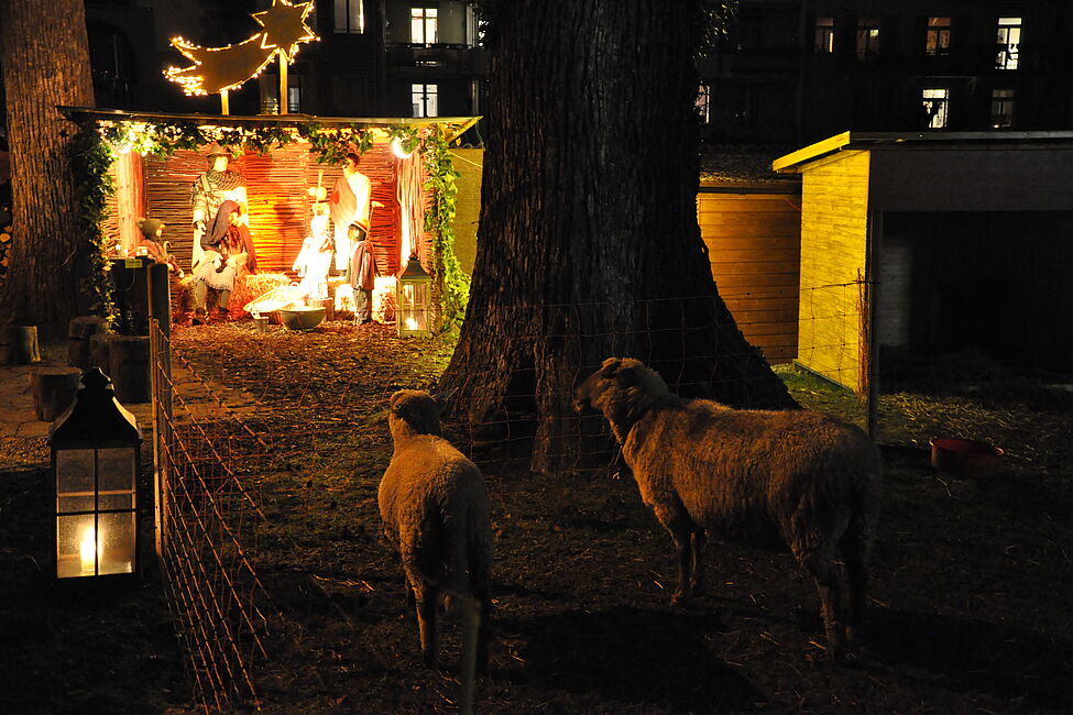 Krippe als Begegnungsort