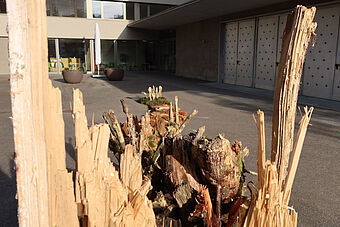 Die Kunstinstallation von Kari Joller auf dem Kirchenplatz MaiHof geht der Frage «Zerbrochen – und jetzt…?» nach. (Fotos: Mitarbeitende MaiHof)