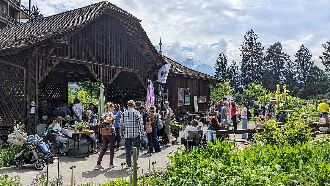 Pflanzenbörse im Kloster Wesemlin