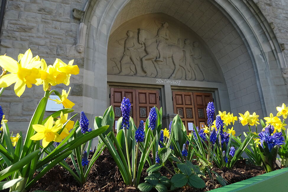 «Es blüht hinter uns her»
