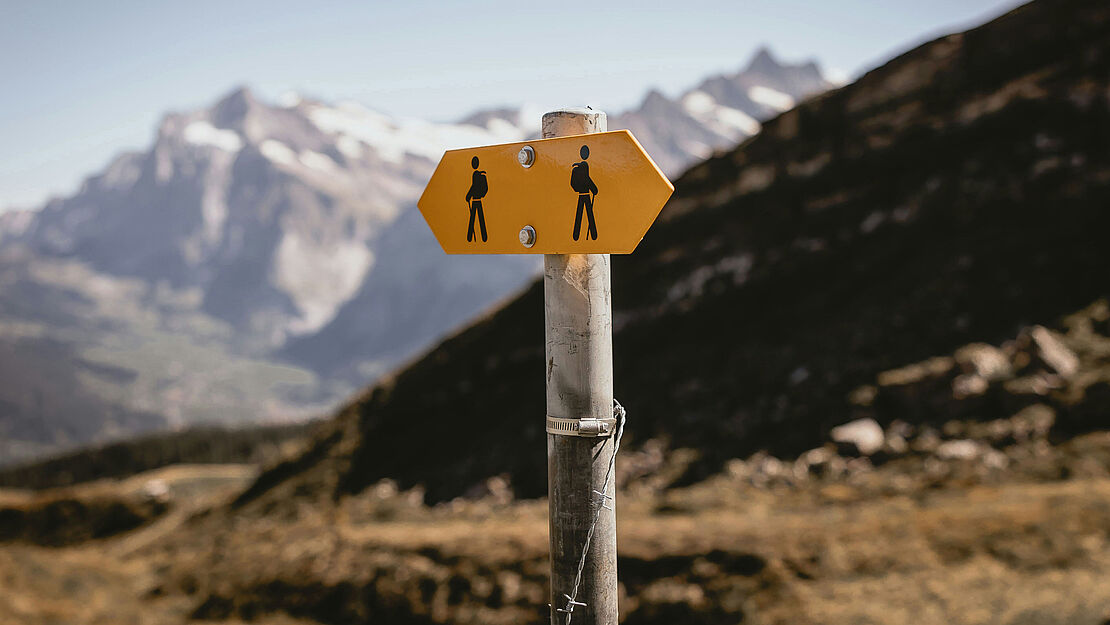 Wege suchen- Begegnung Leben
