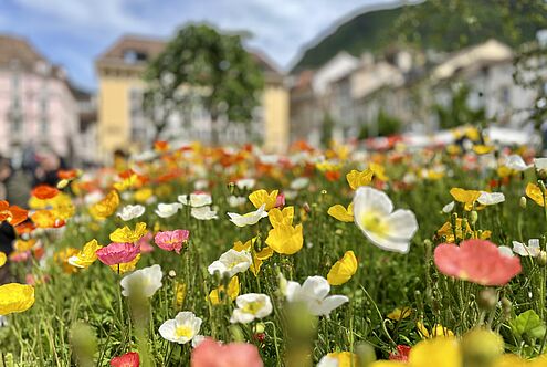 Pfarreireise St. Anton – St. Michael ins Südtirol