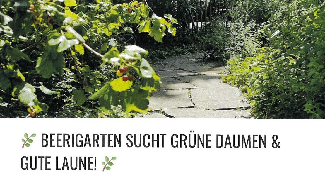 Mithilfe beim Beerigarten St. Anton