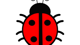 Krabbeltreff Würzenbach