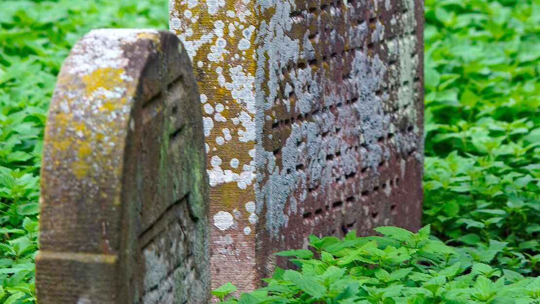 «Frieden im Tal» - 100 Jahre Krematorium Luzern