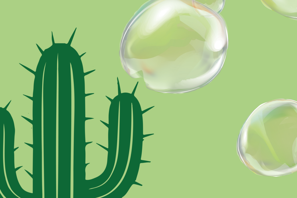 Leben trotz(t) Schicksal