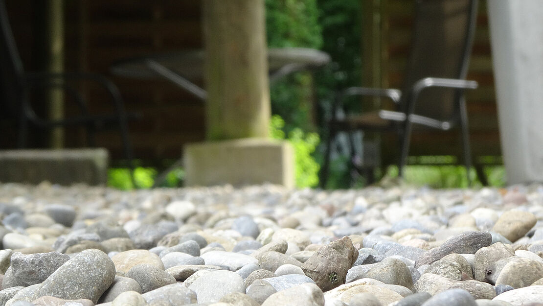 Philo im Garten: Thema noch offen