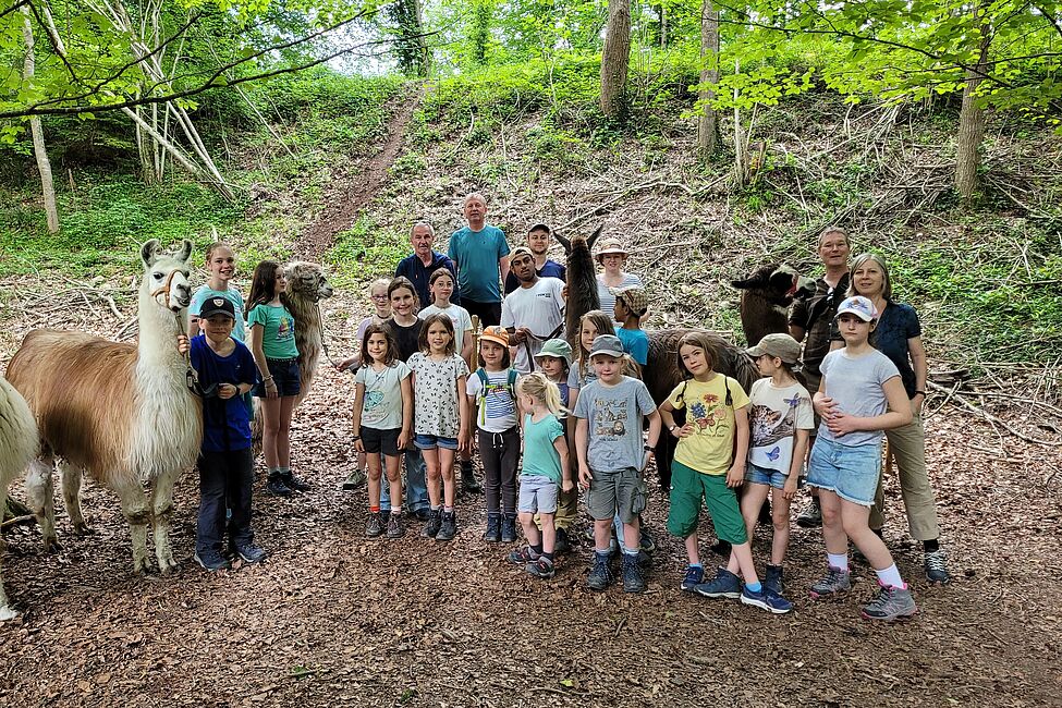 Minis & Spatzen begegnen Lamas