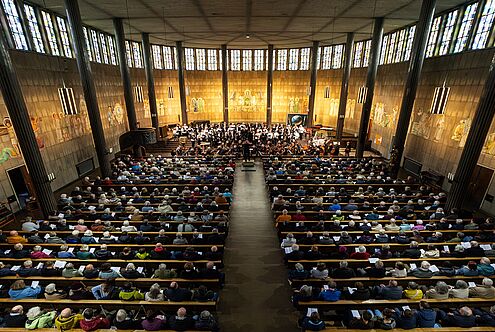 Toggenburger Passion