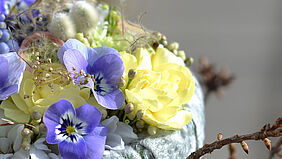 flora sonora – «Ludwig van Beethoven: Klavierkonzert Nr. 5, Op. 73, 2. Satz Adagio un poco mosso