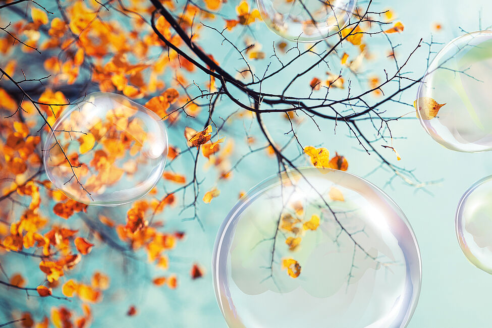 «Willkommen in meiner Bubble»