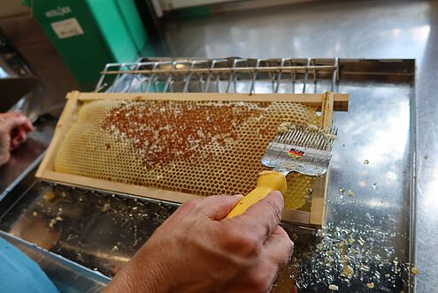 Die Honigernte ist da!