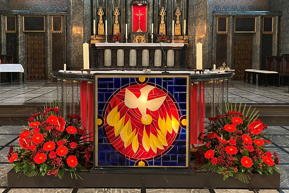 Lass dich begeistern!