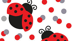 Krabbeltreff Würzenbach